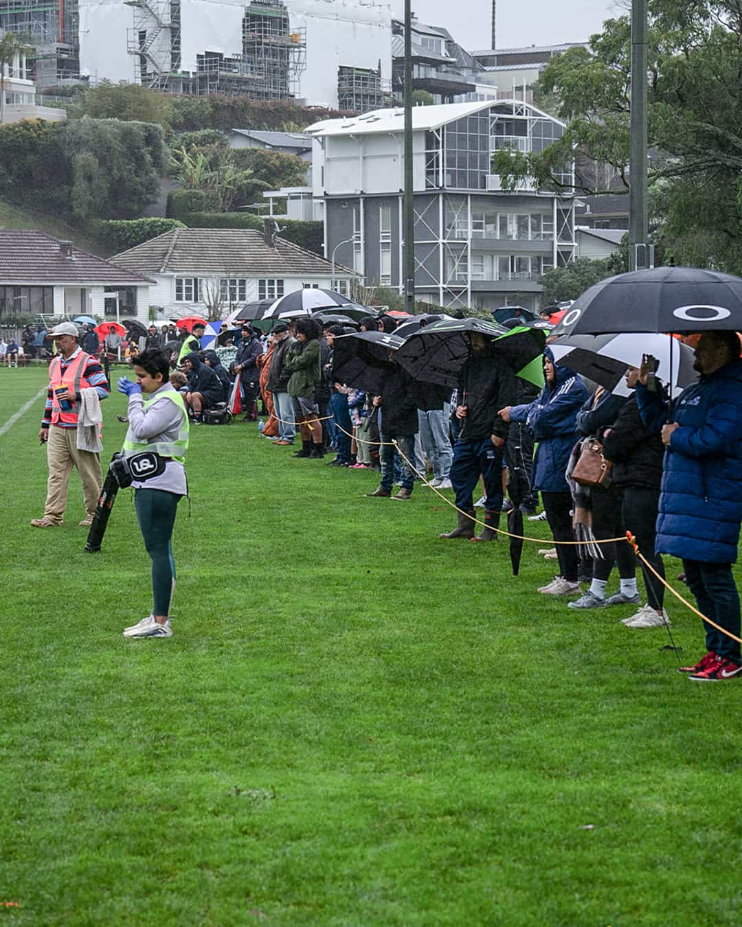 Auckland Rugby Fans