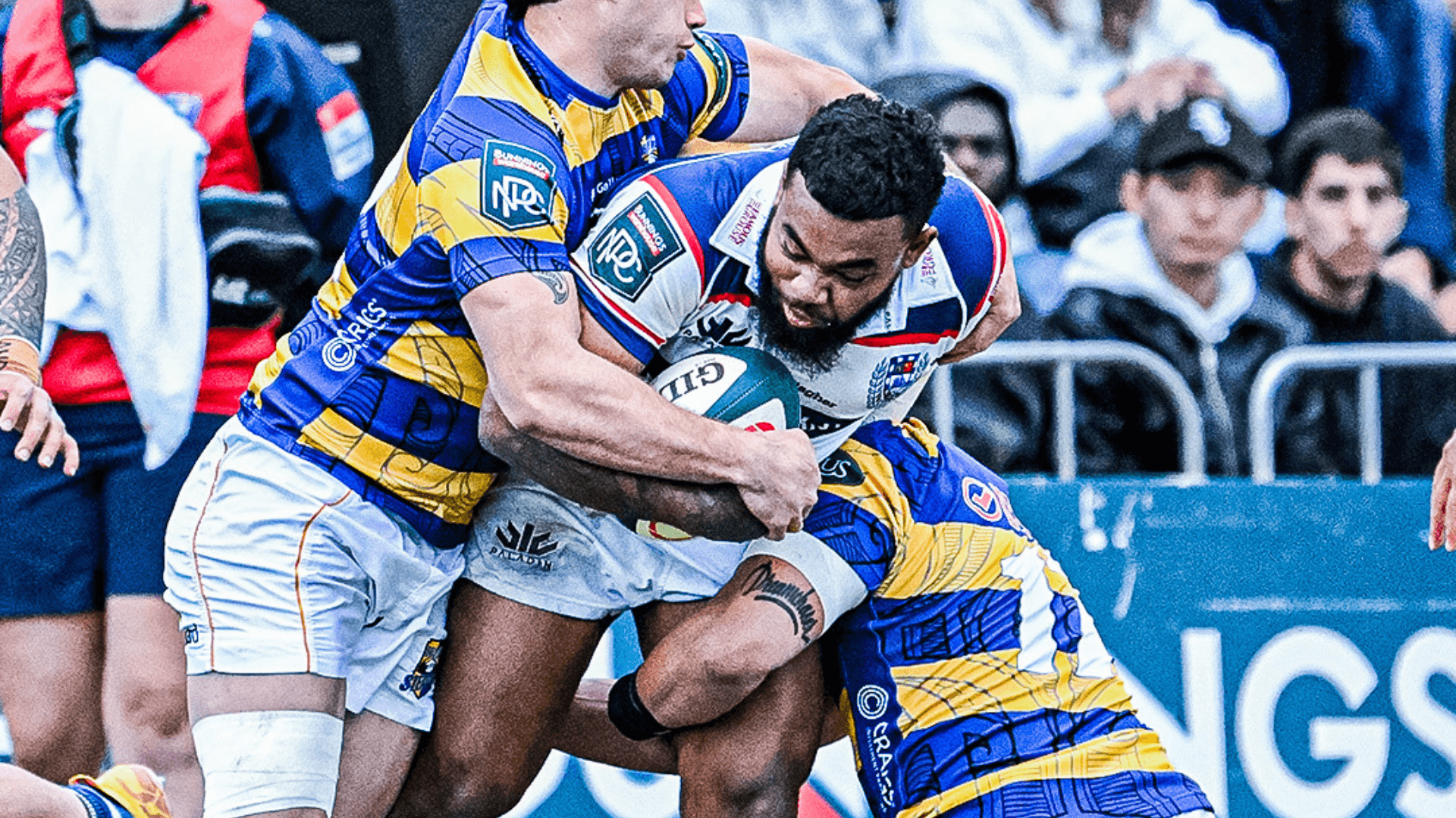 NPC Auckland Rugby 2024
