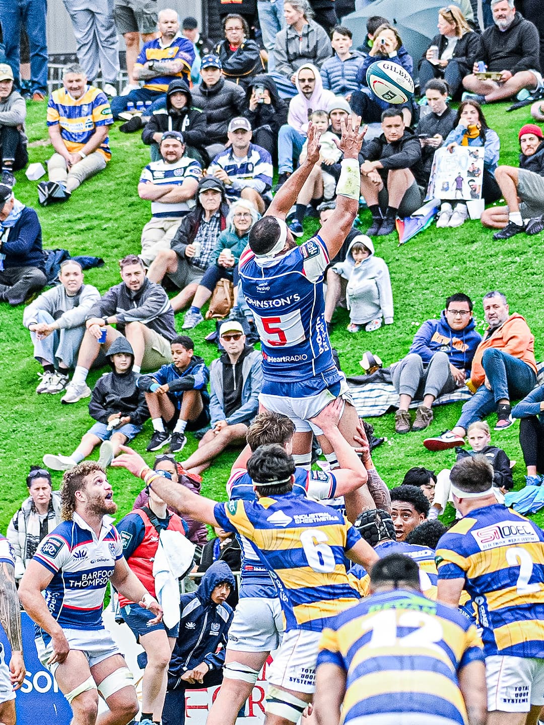 NPC Crowd 2024 Auckland Rugby